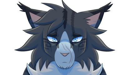 (c) Bilitofu (c) Bilitofu