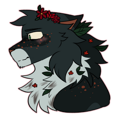 (c) Bilitofu (c) Bilitofu