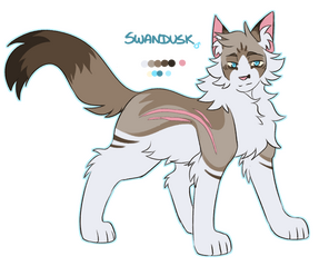 (c) Bilitofu (c) Bilitofu